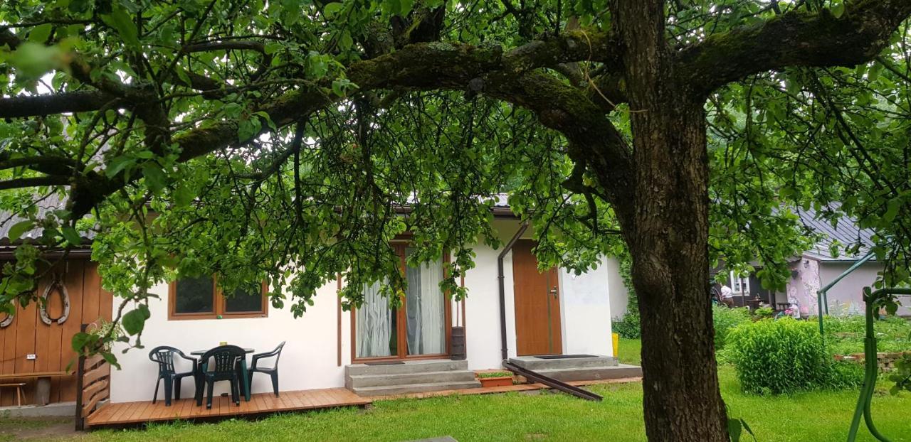 Letnisko Wiolinkowo Villa Sarnaki ภายนอก รูปภาพ