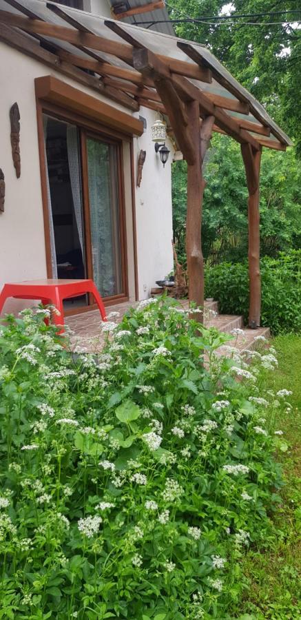 Letnisko Wiolinkowo Villa Sarnaki ภายนอก รูปภาพ